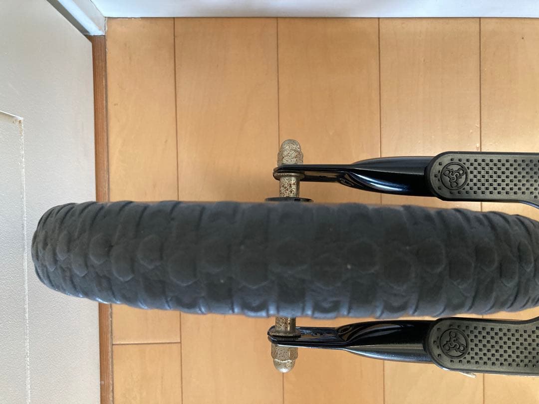 STRIDER 12インチ日本正規品　ブラック　プロテクター付き