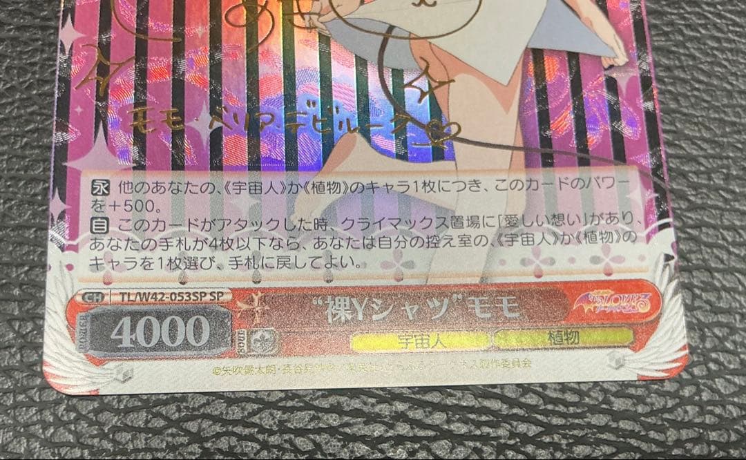 ブ*所様 ヴァイスシュヴァルツ モモ ToLOVEる　サイン　SP