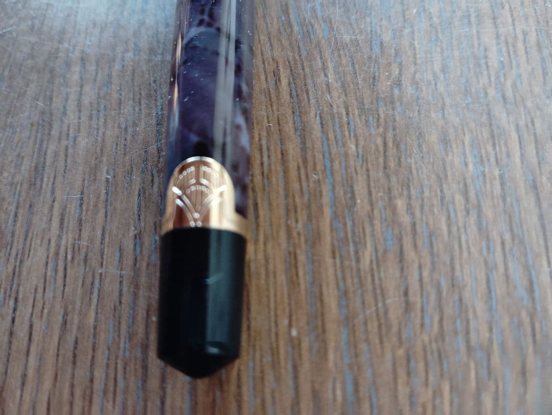 WATERMAN PARIS 万年筆
