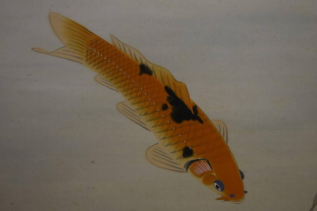 真作/秋湖/双鯉図/遊鯉図/布袋屋掛軸HF-42