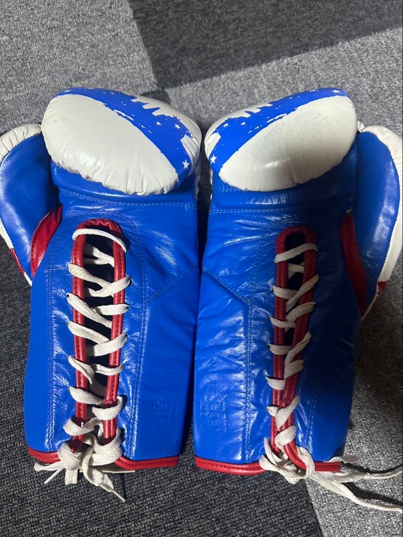 CLETO REYES プロフェッショナル ボクシンググローブ