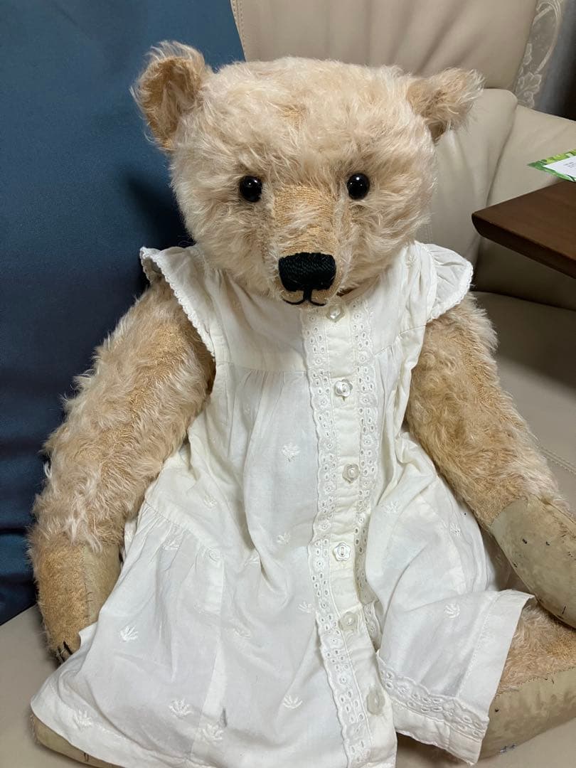 フォーゲットミーノット　ベア　作家　アーティスト