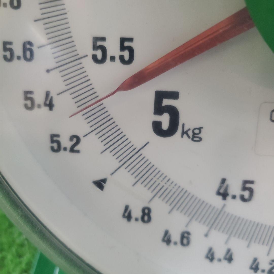 4️⃣ 山梨県産 シャインマスカット １１房 箱込み5.3キロ