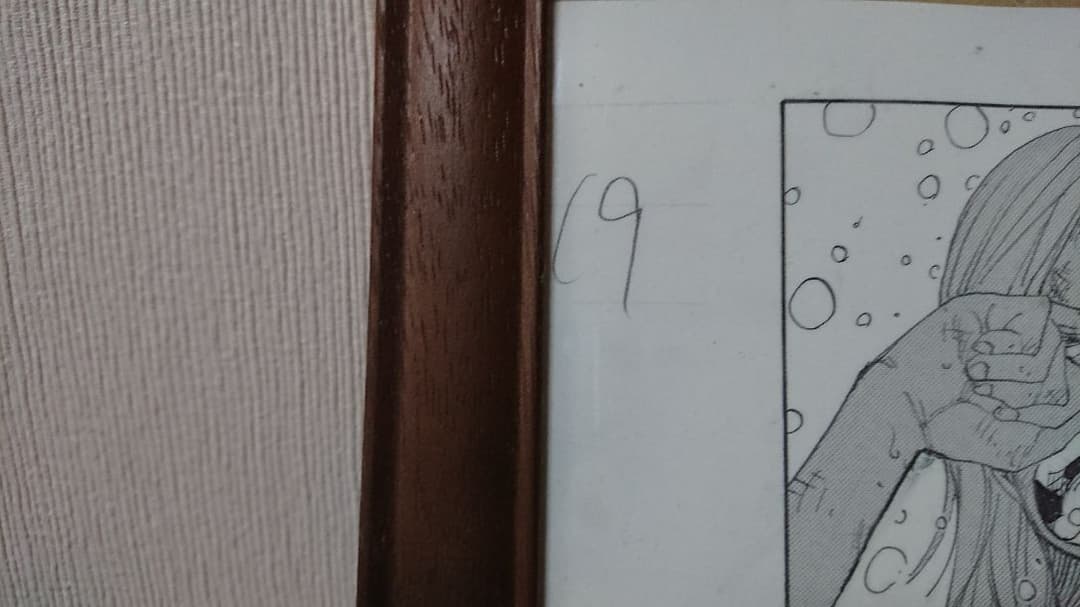 ONE PIECE 2億冊突破記念キャンペーン「名シーン複製原画」