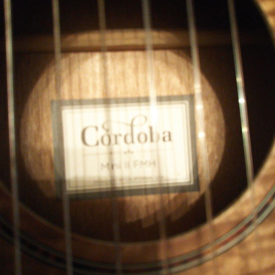 kono Cordoba mini Ⅱ FMH コルドバ ミニ