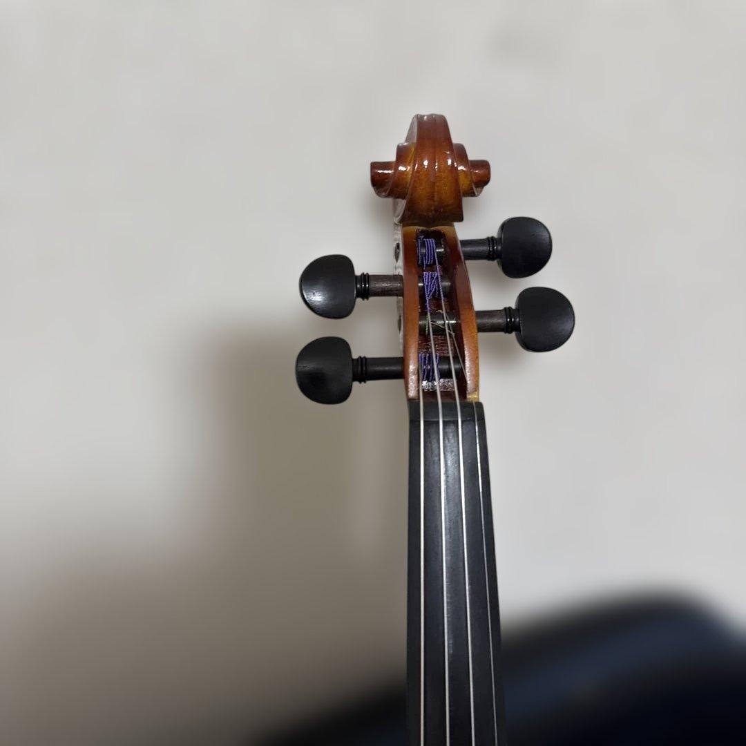 整備済み Carlo Giordano VS-1 4/4サイズ バイオリン