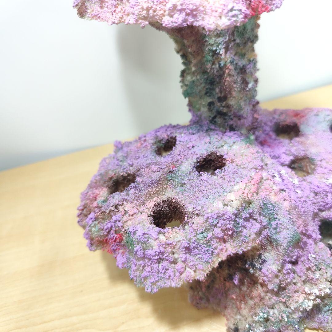 プラグ穴付き アク抜き不要人工ライブロック 海水水槽 レプリカ コーラルフラグ5