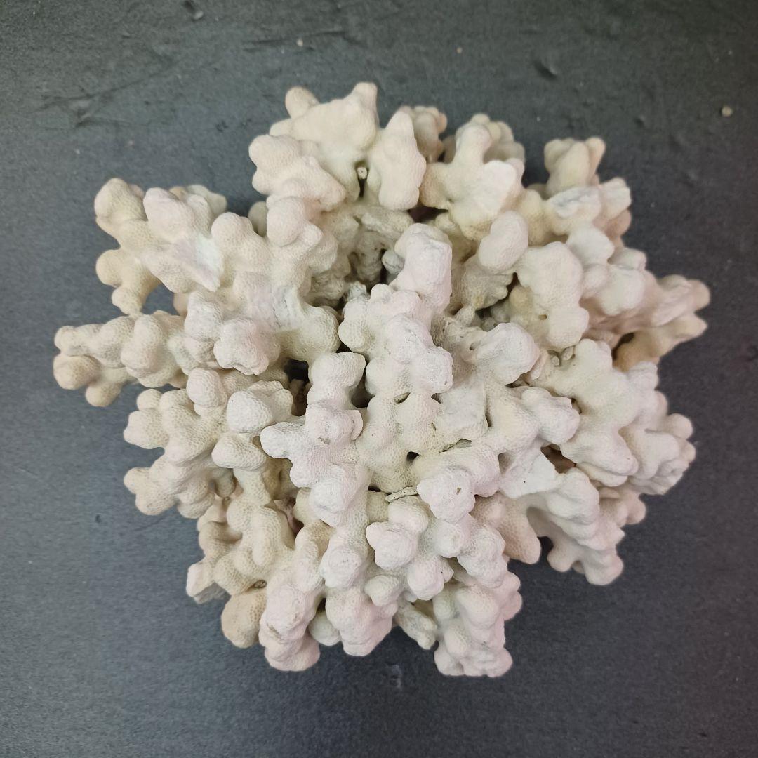 MURANO de majo デマヨ社製 1988'ムラーノ グラス 大皿