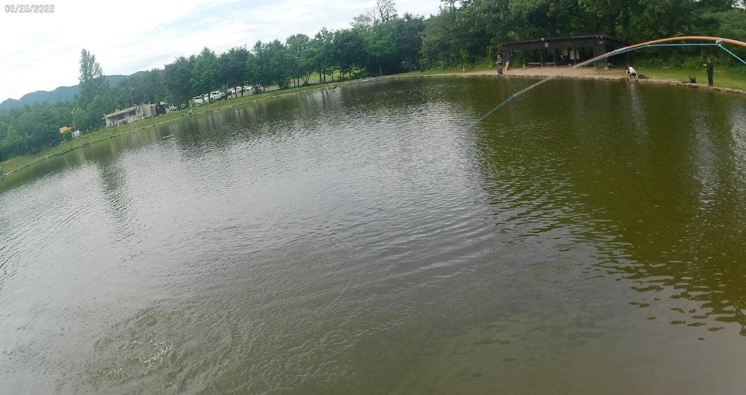 バンブーフライロッド ５フィート８インチ　＃２／＃３　Standard