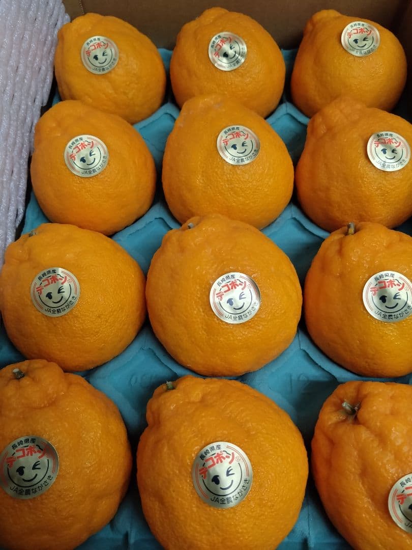 長崎マルナン「デコポン®」２箱セット