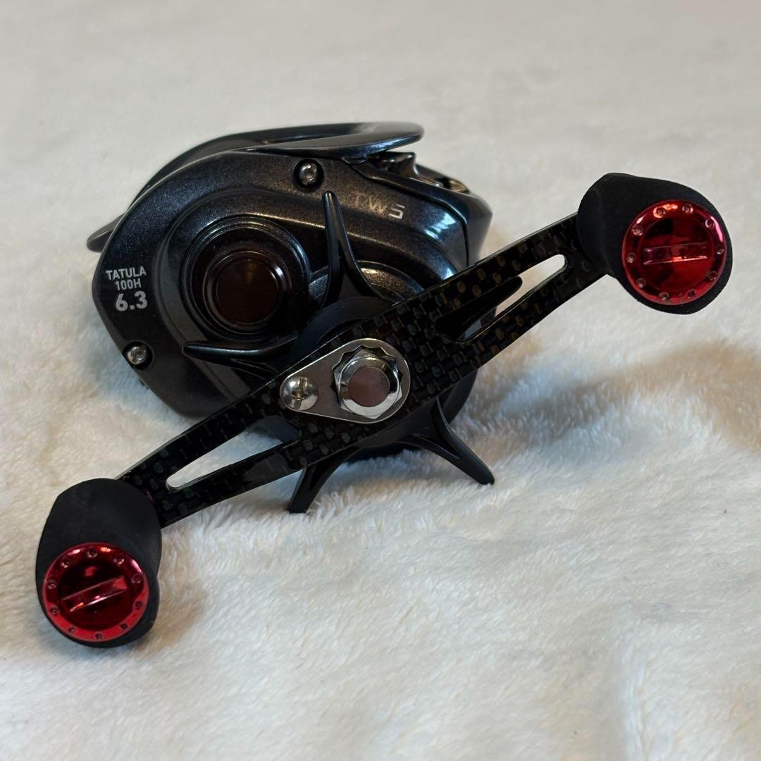 ダイワ タトゥーラ TWS 100H 6.3 US ベイト リール 右巻