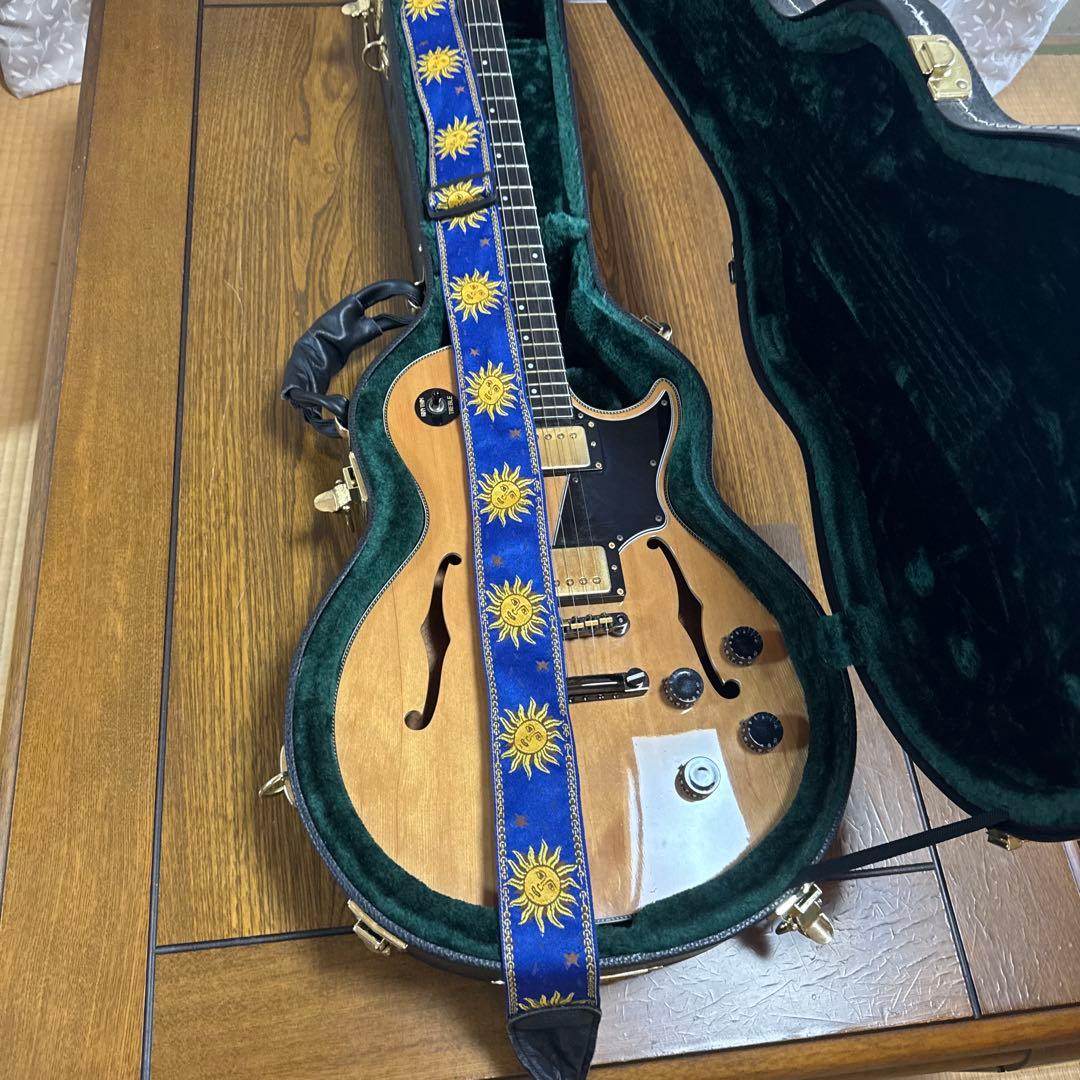 Security Seven エレキギター ハードケース付き