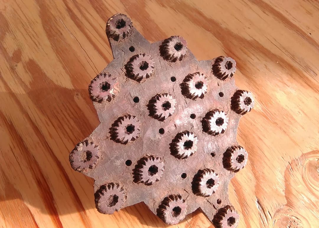 インドのブロックプリント版　ウッドスタンプ　木版　in ブルックリン　NY