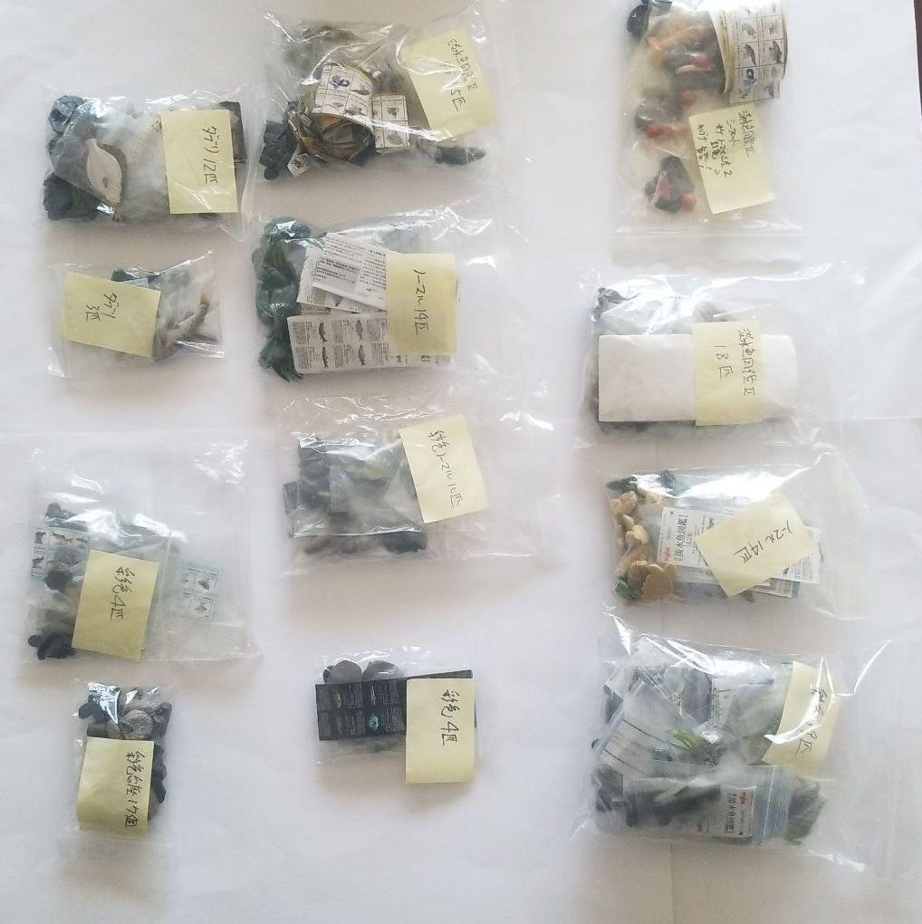 原色淡水魚図鑑　ユージン