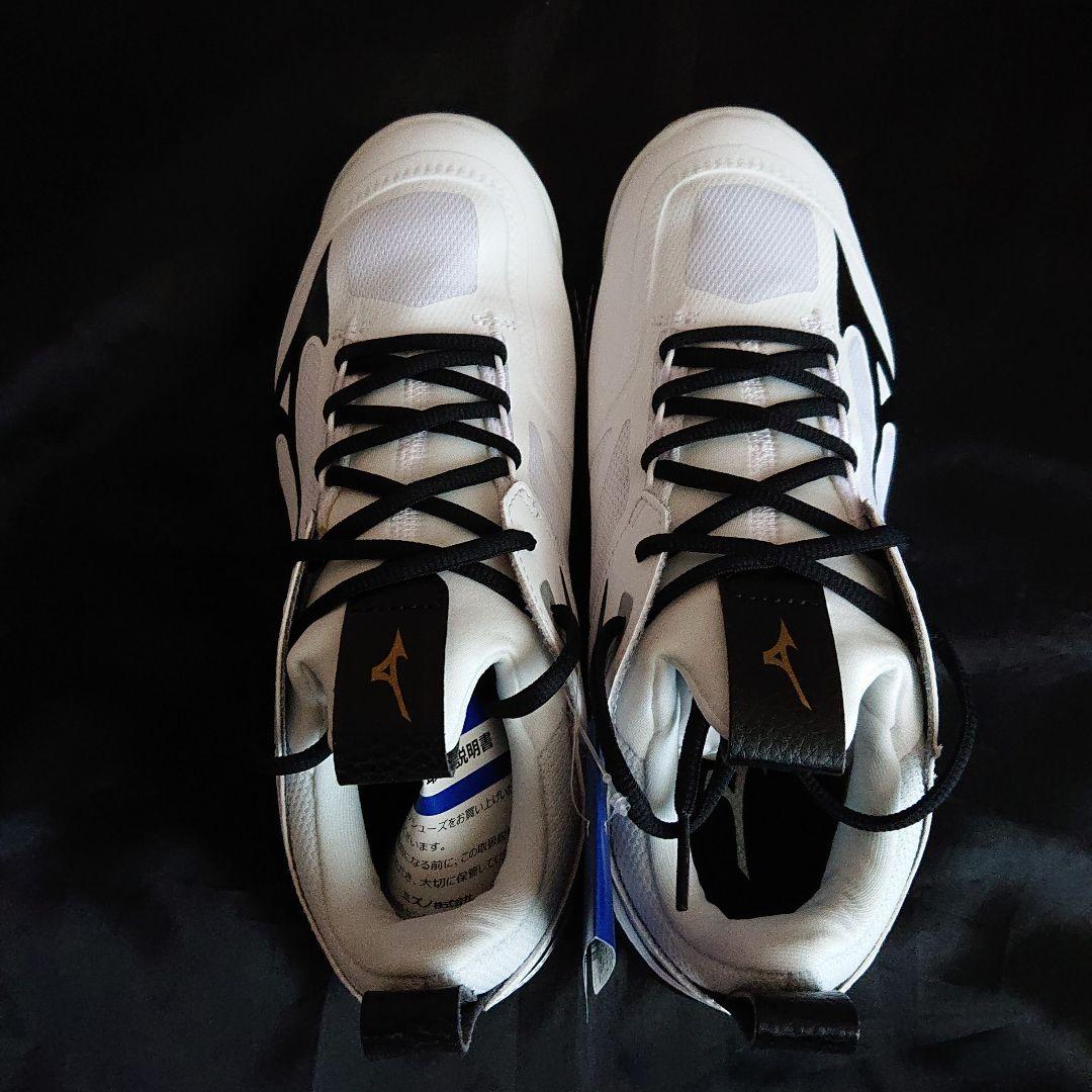 ミズノ バレーボールシューズ 24.5