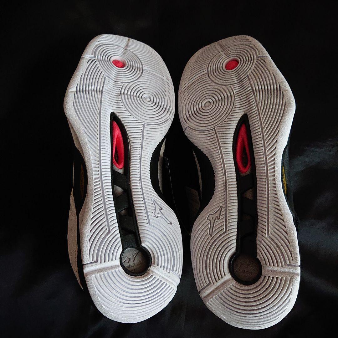 ミズノ バレーボールシューズ 24.5