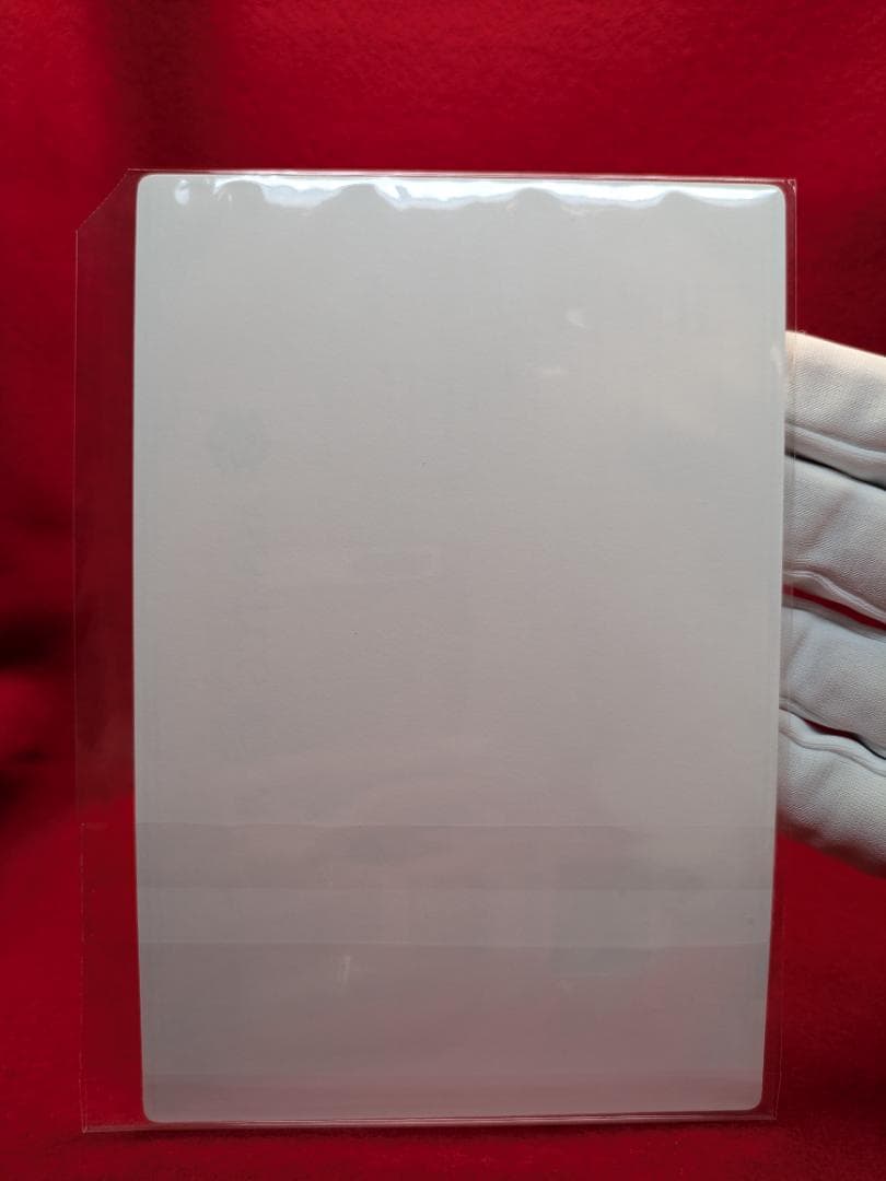 ARS 10 エビワラー　107