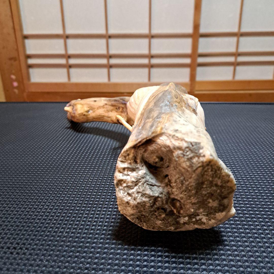 海松 深海松 レインボーコーラル 素材 原木