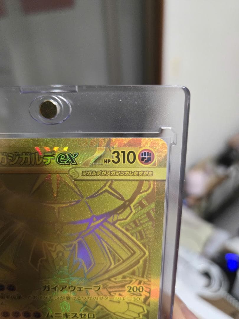 メガジガルデex MUR ムニキスゼロ [117/080]