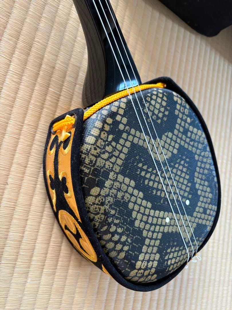 沖縄三線 初心者 入門者 専用ケース付