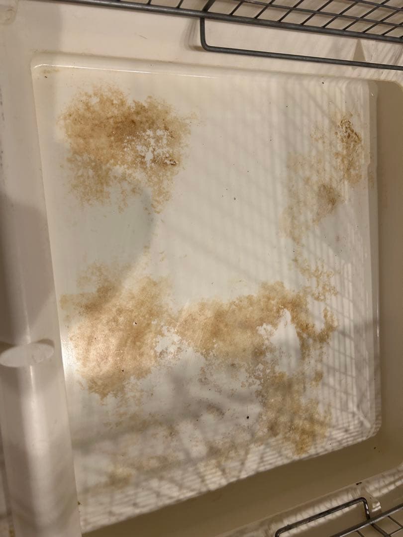 イージーホーム80