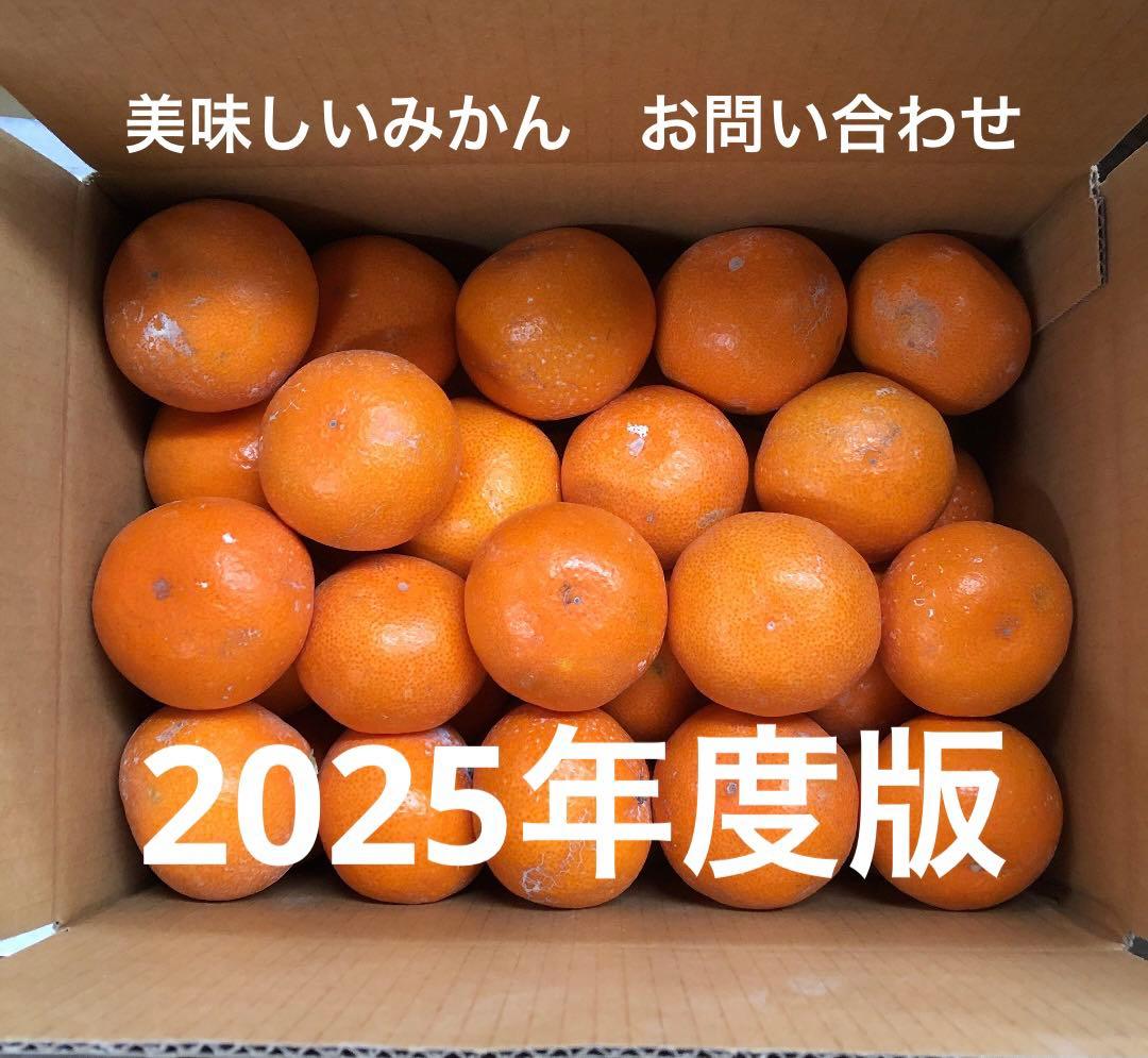 美味しいみかん！　2025年度お問い合わせ！