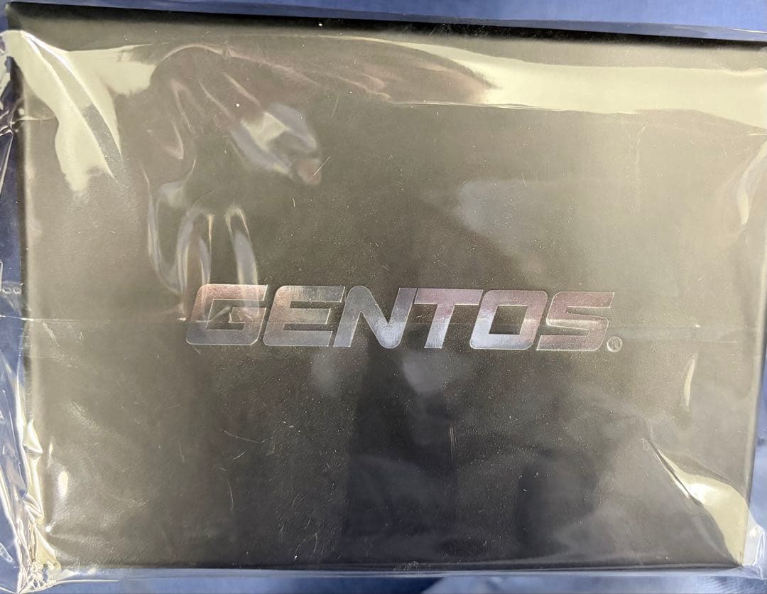 GENTOS GH-203RG ヘッドランプ 6600mAh