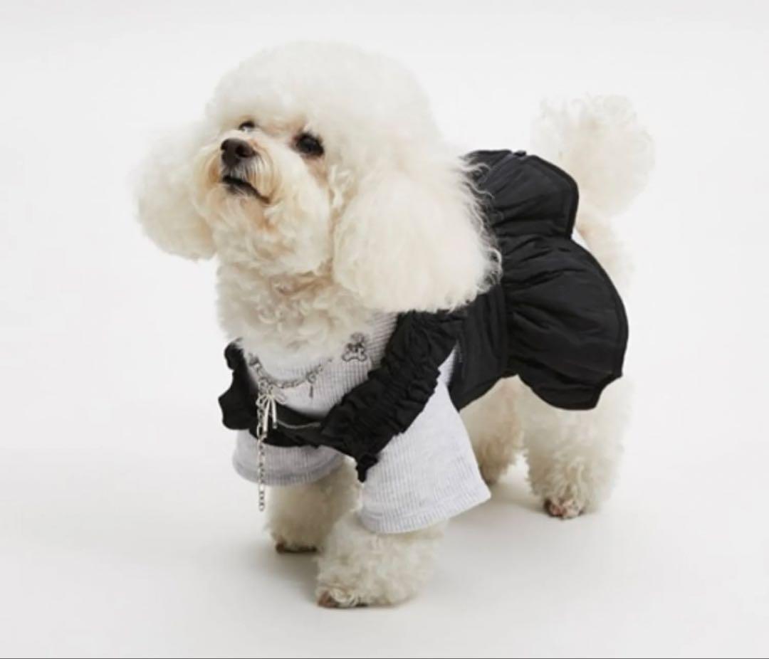 ルイスドッグ　louisdog 小型犬用フリル付きドレス 黒　　ワンピ