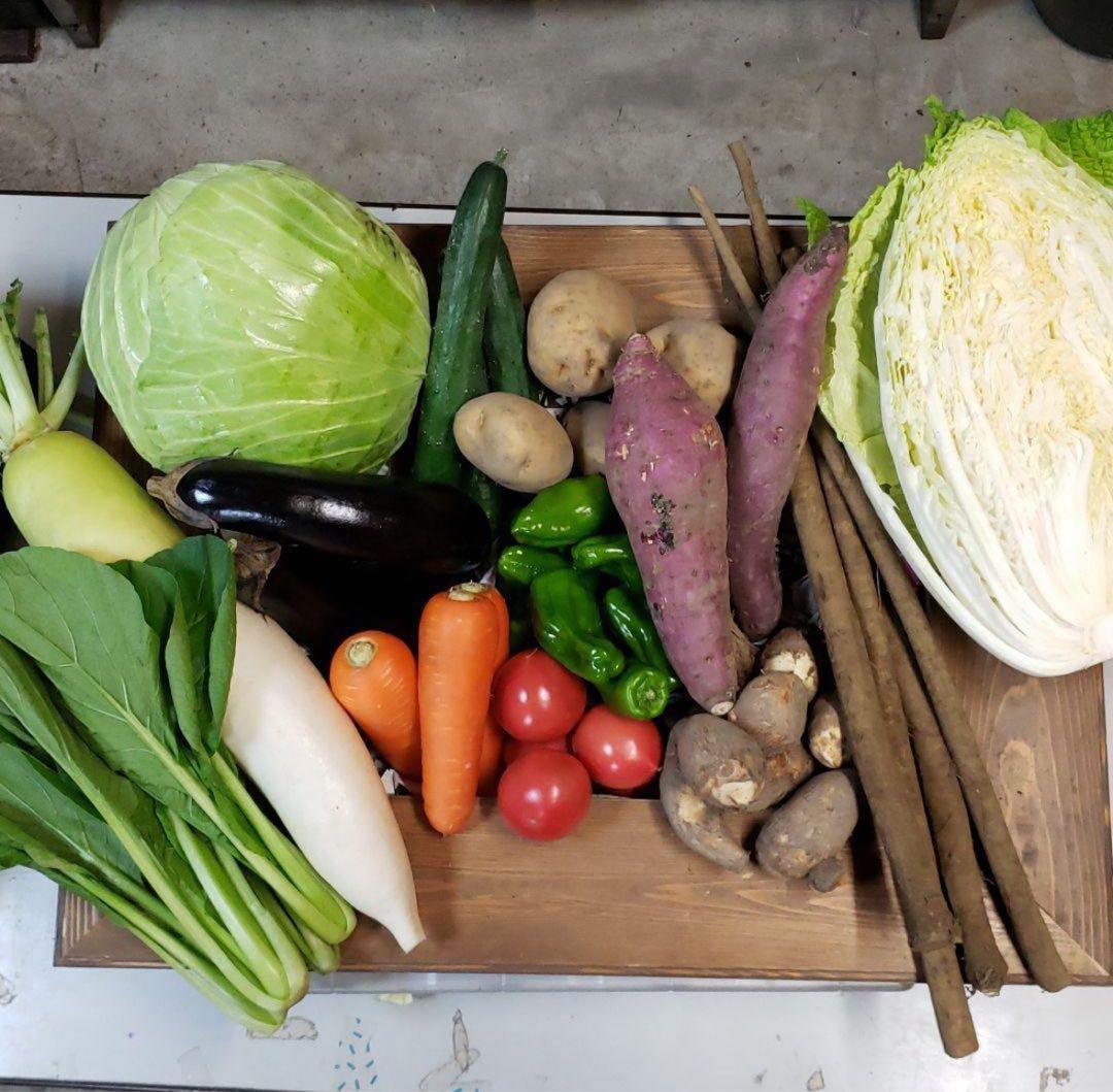 ラブキャット様 野菜セット お米10K