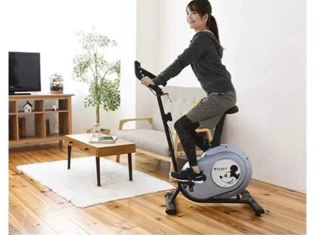 アルインコ(ALINCO) フィットネスバイクモデル DSY6219 ディズニー
