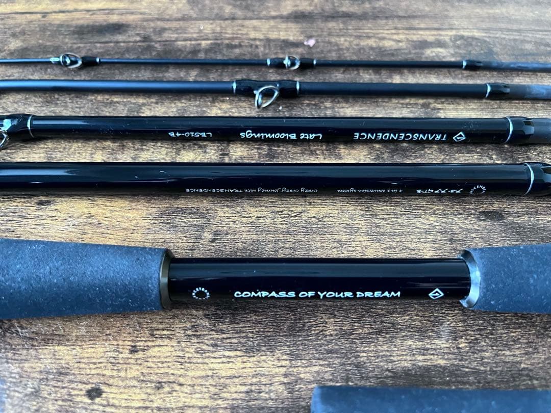 トランスセンデンス　レイトブルーミングス　TRANSCENDENCE