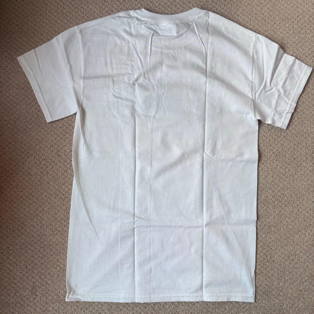 未使用ポップグループSHE IS BEYOND GOOD AND EVIL T