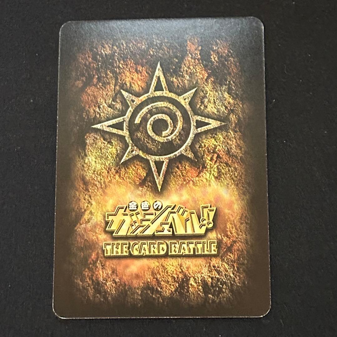 バリー 大きな背中 M-454