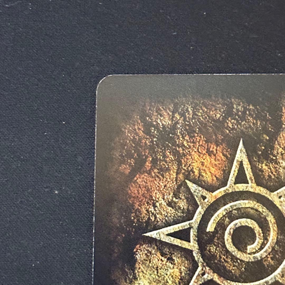 バリー 大きな背中 M-454