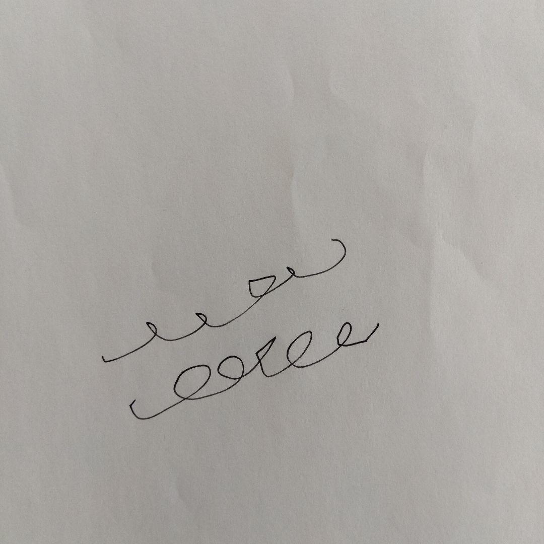 パイロット万年筆エリート　ペン先18K　純正インクカートリッジ付