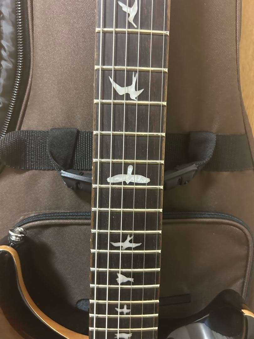 Paul reed smith SE Custom24 エレキギター