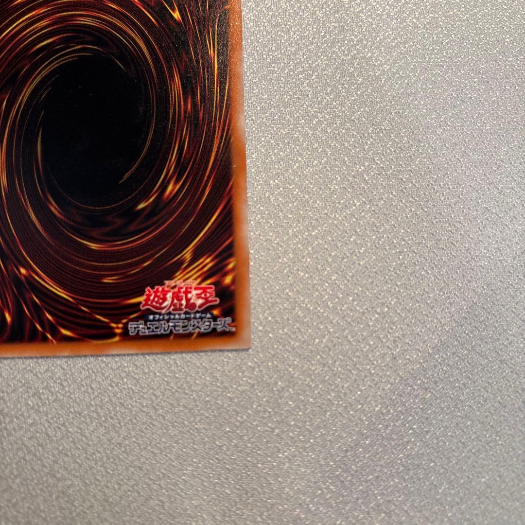 遊戯王　ブラックデーモンズドラゴン　レリーフ　1枚