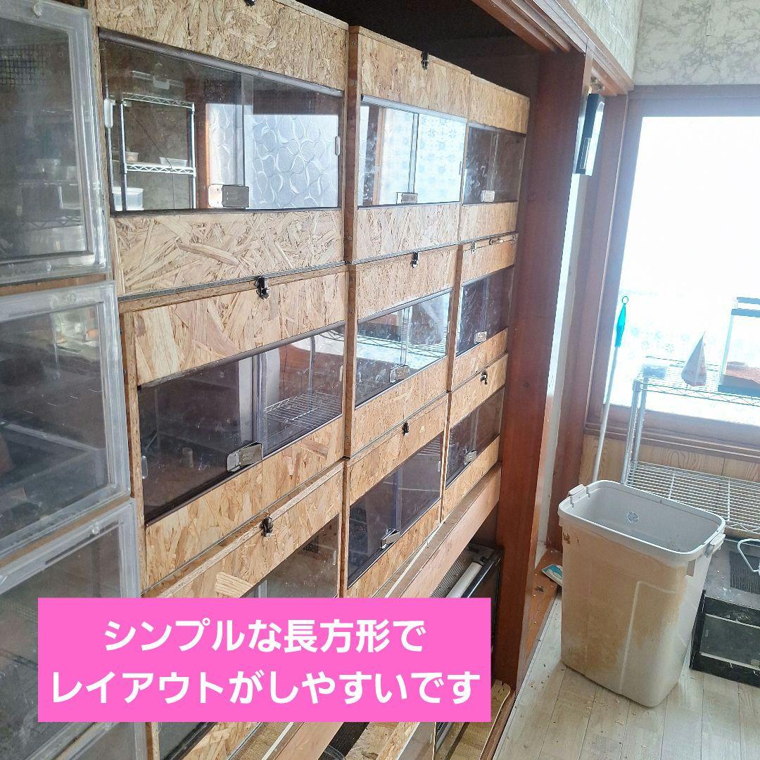 たあこ　コスパ重視！OSB 木製ケージ(未使用)2個セット