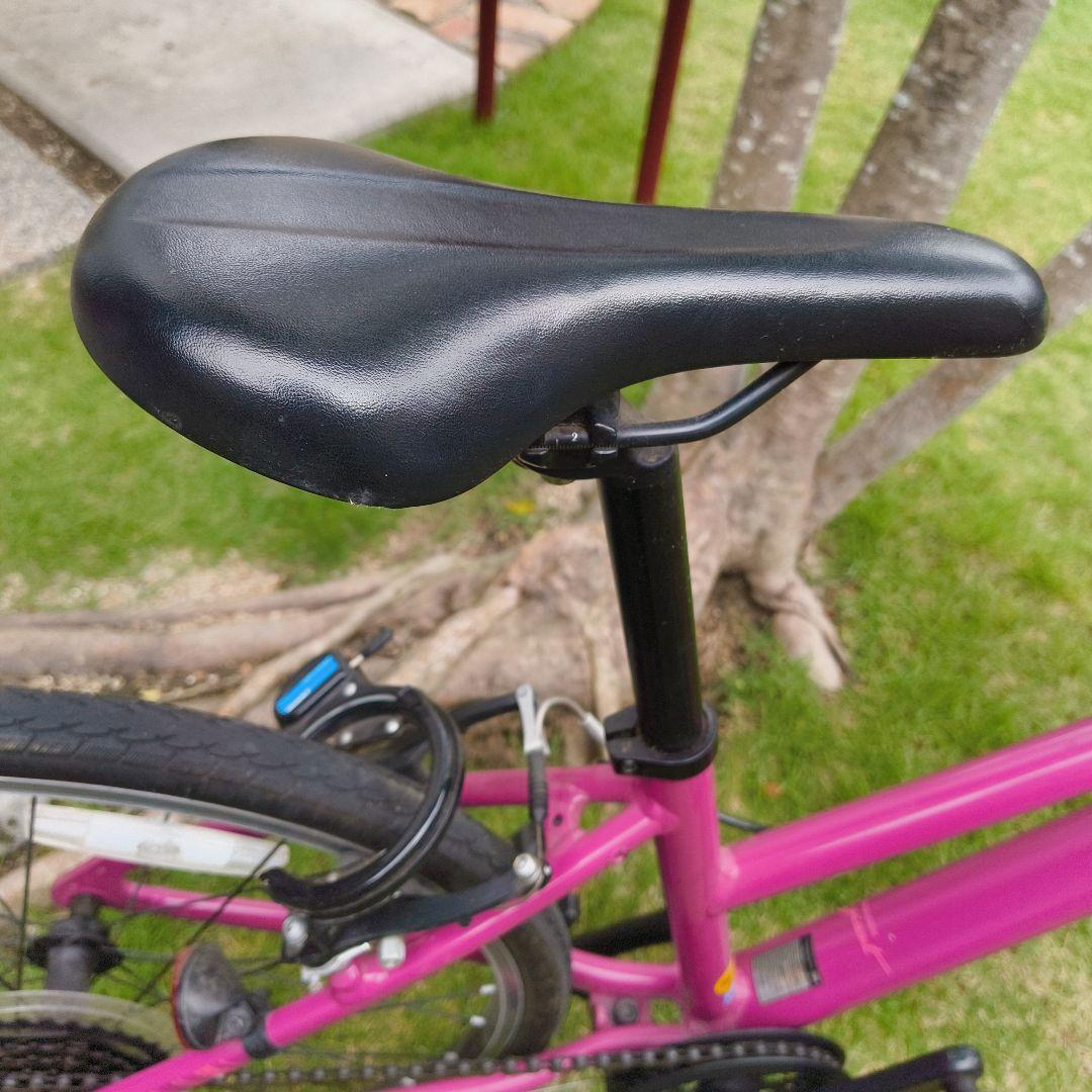 専用　GIANT liv 子供用クロスバイク　ALIGHT パープル