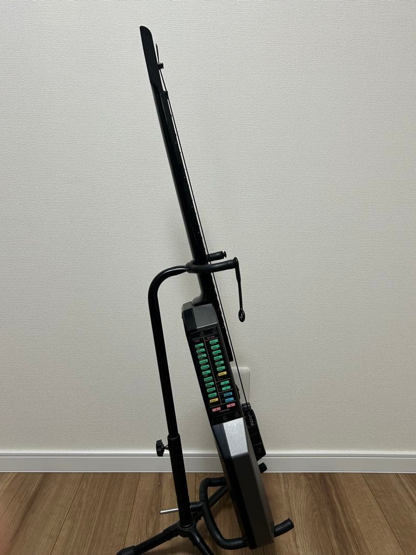 CASIO カシオ DG-20 デジタルギター　アダプター付き