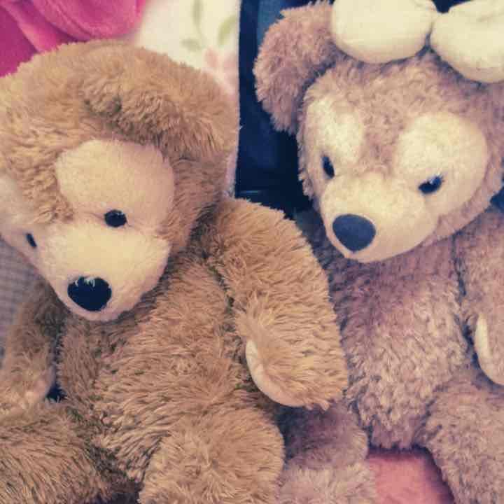 ダッフィー シェリーメイ Mサイズ