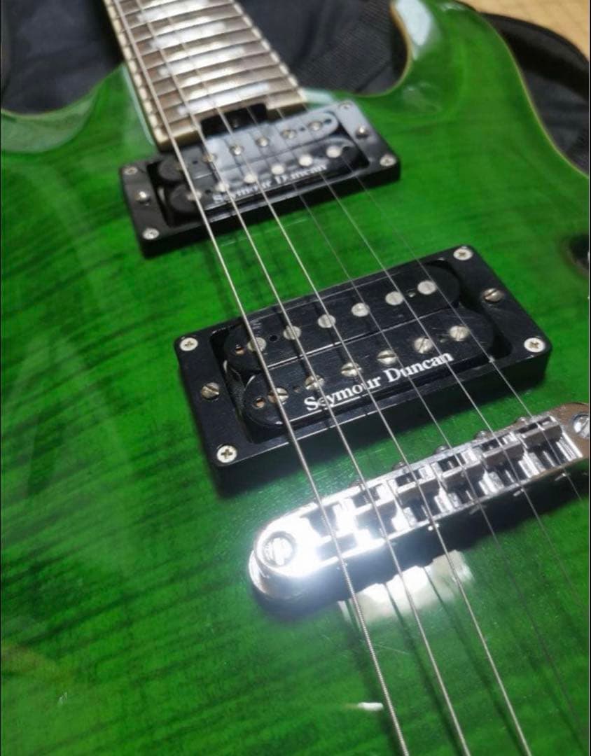 マスクSchecter PA-FC/TH shadows