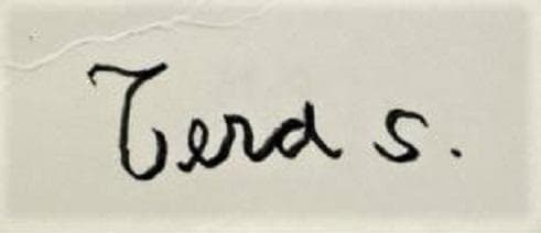 芸術院会員、光風会.，日展顧問の寺島龍一による直筆の鉛筆デッサン画パステルで彩色