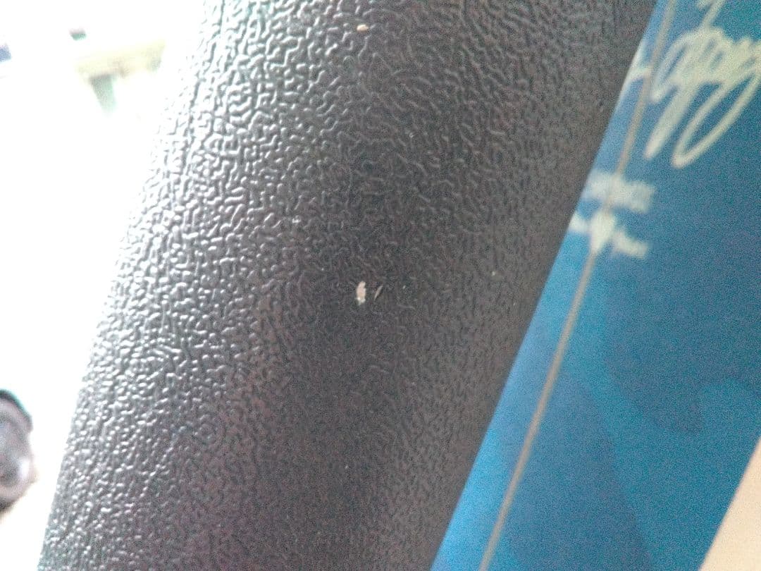 サーフボード ソフトボード 8フィート