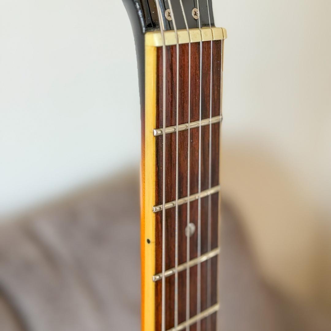 Burny / Fernandes RSA-65 セミアコ ドット サンバースト