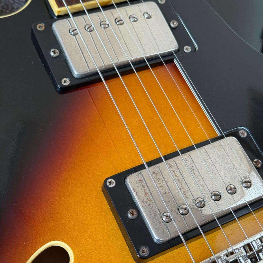 Burny / Fernandes RSA-65 セミアコ ドット サンバースト