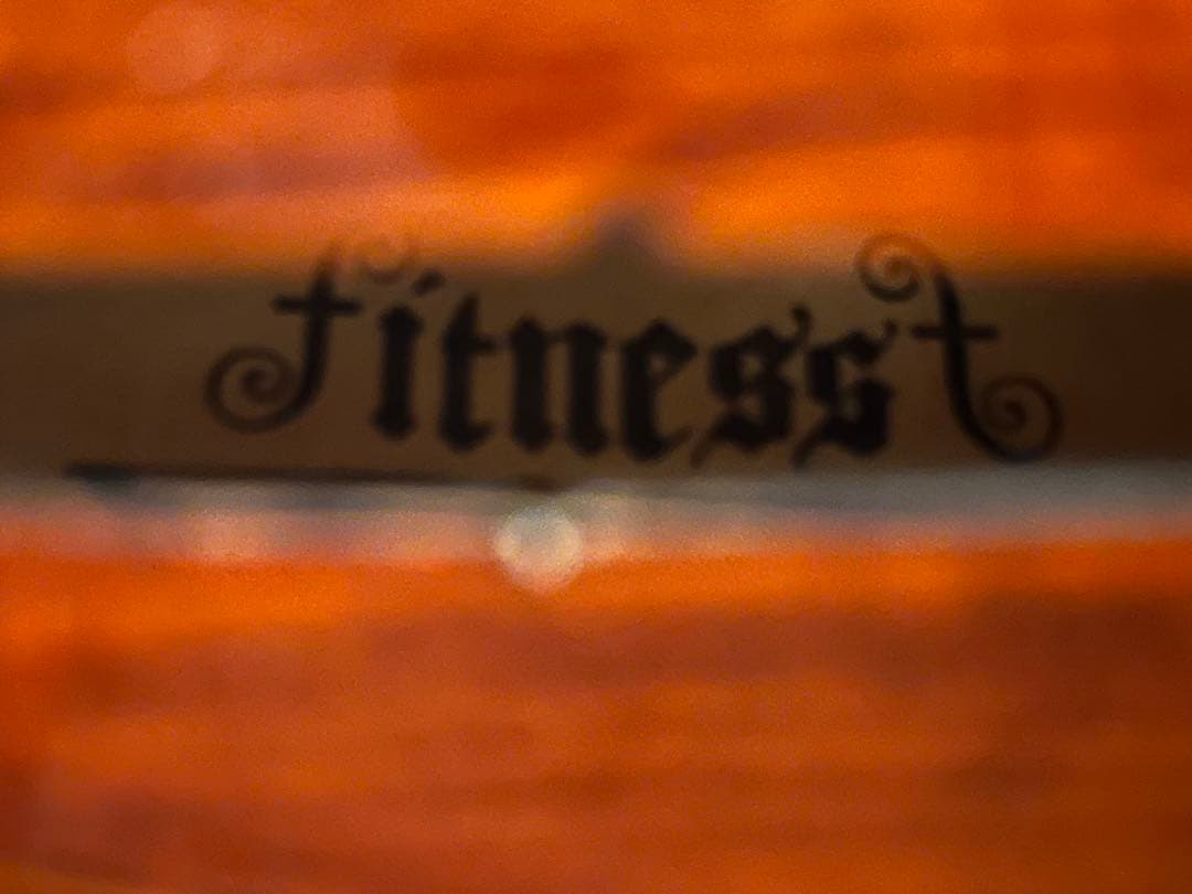 バイオリン 4/4サイズ ケース・弓・肩当て付