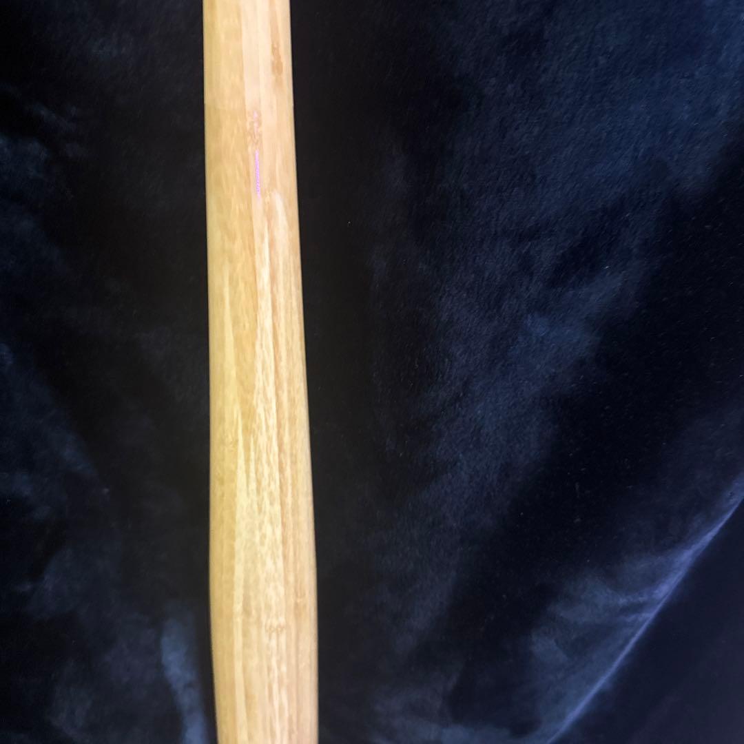 ミズノ バンブー 硬式バット ケース付き