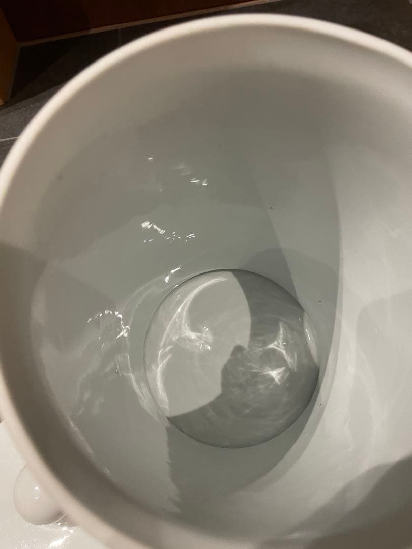 【1/10まで価格】極美品)希少アンティーク陶器　フランス買い付け