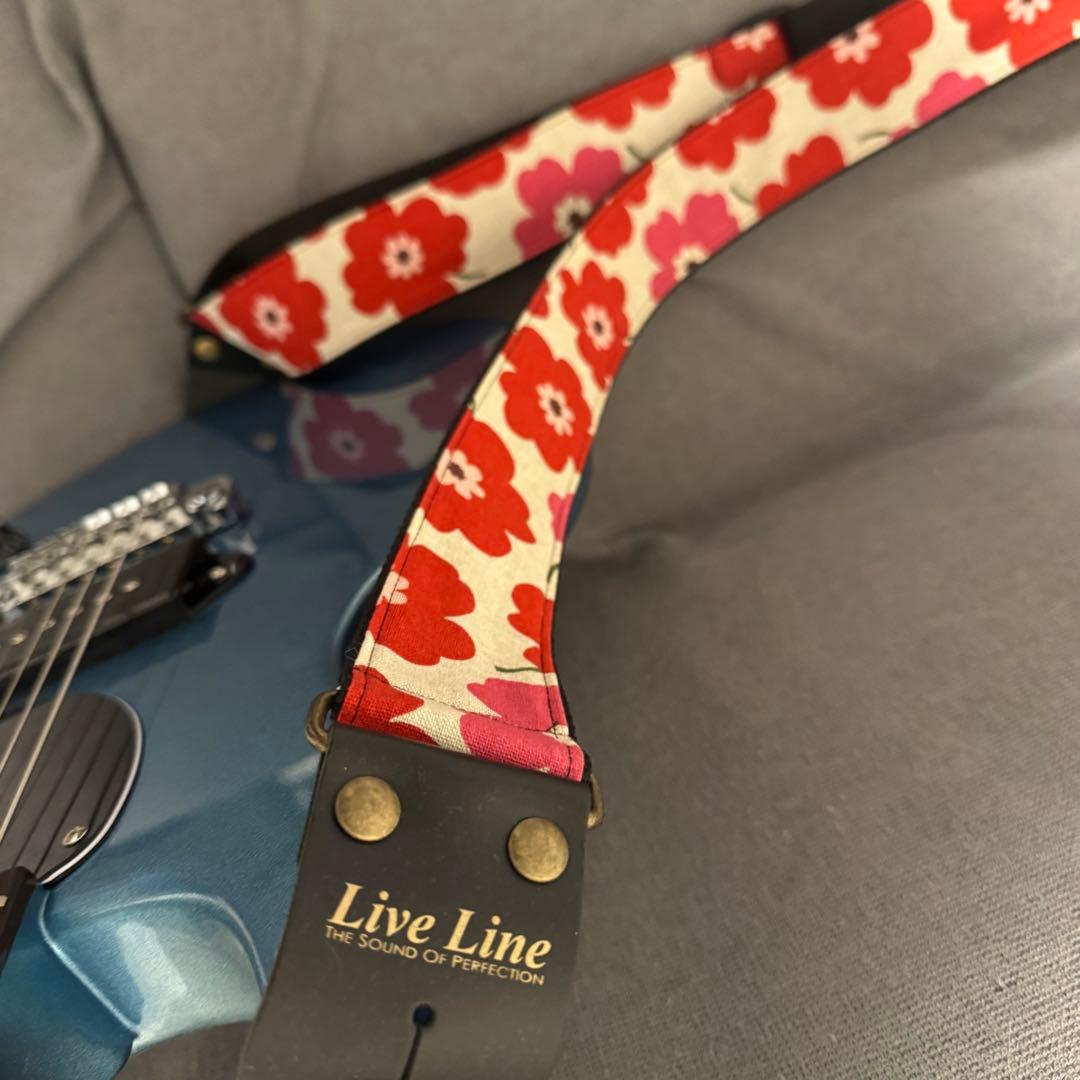 ギター Harley Benton DC-Junior Pelham Blue